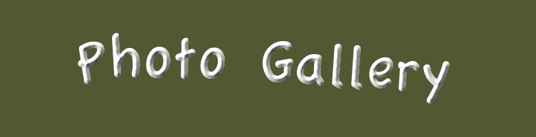 Photo Gallery